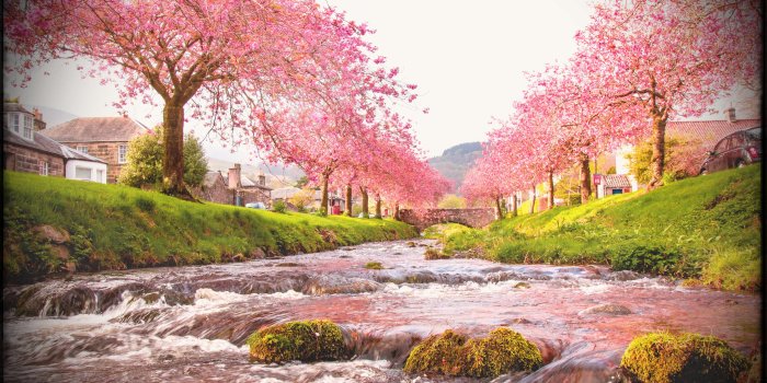 3840x2400 Japanese Nature Wallpapers - Top Free Japanese Nature Backgrounds