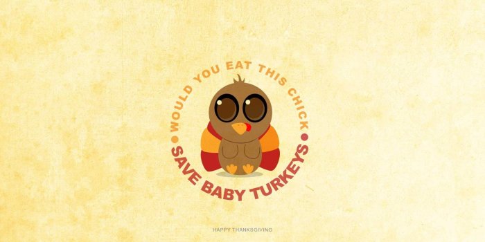 1920x1200 66+ Cute Thanksgiving Wallpapers on WallpaperPlay