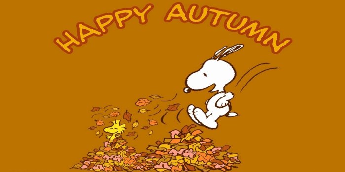 1920x1080 200 Fresh Cute Thanksgiving Wallpaper This Week | Nobel Wallpaper