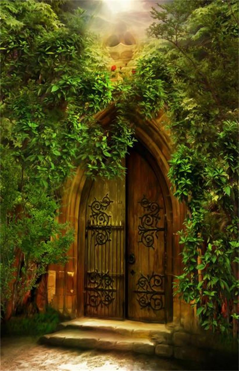 800x1241 Dream World Wallpaper - (37+) Wallpaper Collections