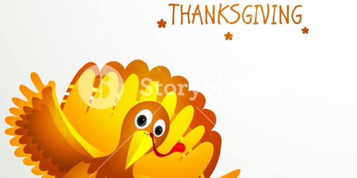 1000x1000 Thanksgiving Wallpaper 43 Images On Genchi - Cute Thanksgiving