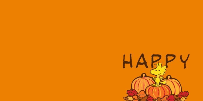 1024x768 Cute thanksgiving wallpaper - SF Wallpaper