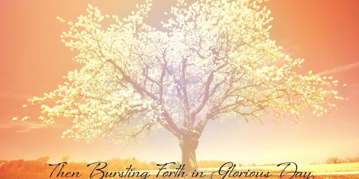 1638x1024 Christian Easter Wallpapers – HD Easter Images