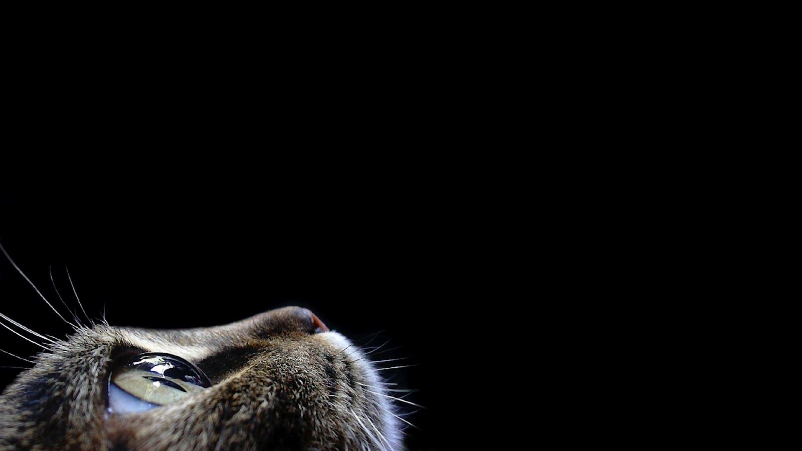 1600x900 Modern Black Wallpaper For Desktop #6927015