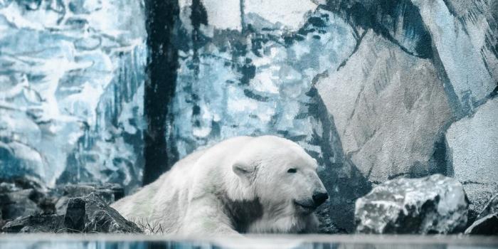 1000x1500 iPhone 6 Wallpapers: Free HD Download [500+ HQ] | Unsplash