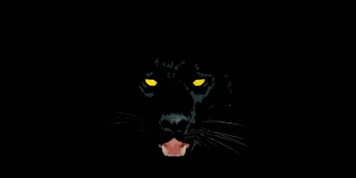 1024x768 35+ Black Puma Wallpapers - Download at WallpaperBro