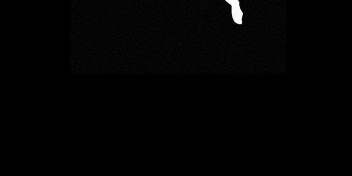 1107x1965 Pumas Wallpaper (62+ images)