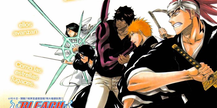 1600x1162 Free Anime Wallpaper: Bleach Characters Wallpaper