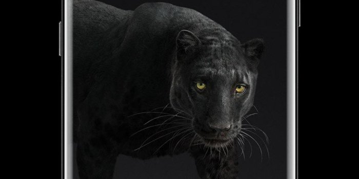 1080x1920 Puma Black Panther AMOLED Lock Screen Wallpaper for Android - APK