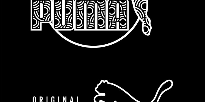 1591x2404 Download Puma Wallpaper Hd (69) - mariacenoura.pt