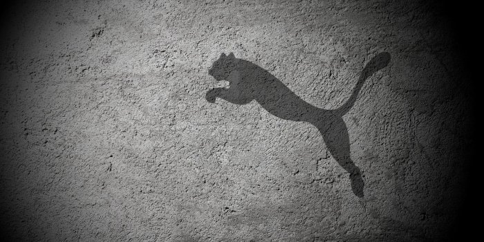 1600x900 Puma Wallpaper (29+ images) on Genchi.info