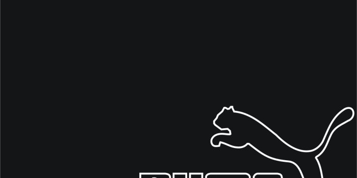 1600x1200 72+] Puma Wallpapers on WallpaperSafari