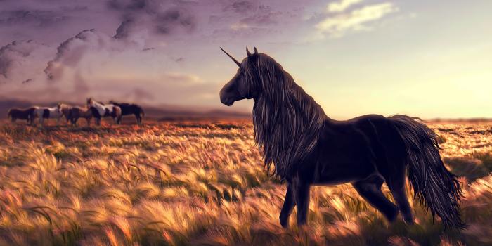 3888x2592 75 Unicorn HD Wallpapers | Background Images