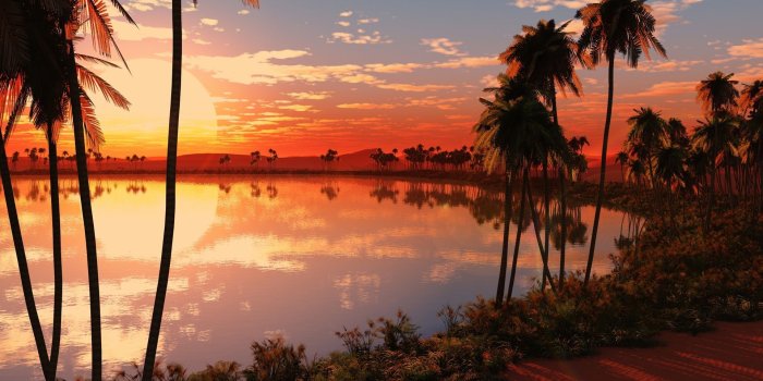 1920x1080 Desert Oasis Wallpapers - Top Free Desert Oasis Backgrounds