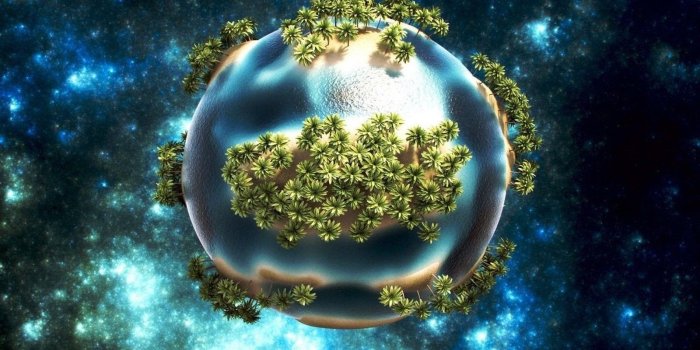 1600x1200 Abstract Vector, Palm,globes, Widescreen Images,HD Wallpaper Free