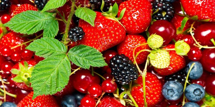 1920x1080 fruits 3D HD | Fruits Wallpaper | Download HD Wallpapers | fruits in