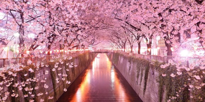 2048x1367 61+ Japanese Desktop Wallpapers on WallpaperPlay