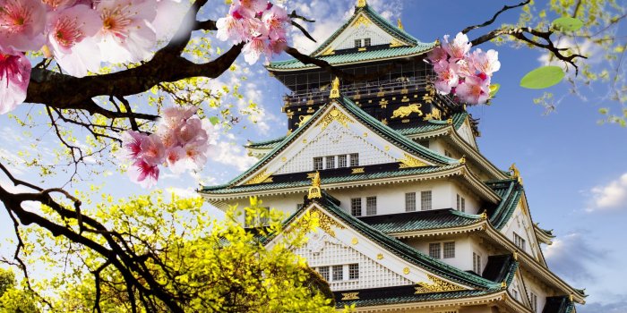 2560x1600 Castle In Japan Desktop Wallpaper Backgrounds Hd : Wallpapers13.com