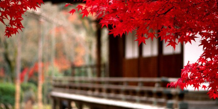1512x976 Japan Hd Wallpapers | Nababan Wallpapers
