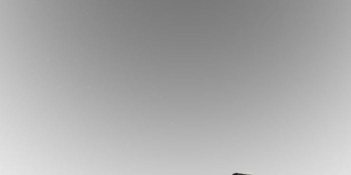 738x1161 iPhone/Android lockscreen wallpaper HD #nickiminaj #barbietingz