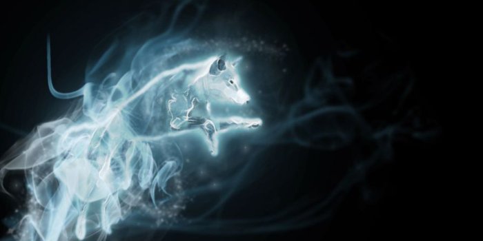 4151x2560 Top 33+ wolf patronus HD Wallpapers | wall01.interestwall.tech