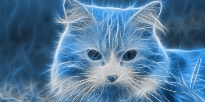 1920x1080 What Is Your Patronus Animal? - BuzzMoy