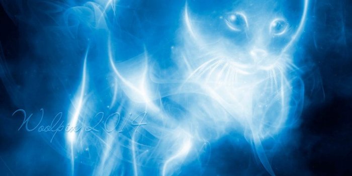 873x916 25 images about Patronus on We Heart It | See more about patronus
