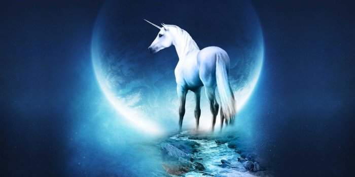 1920x1200 Unicorn Wallpaper Hd Download 4 : Wallpapers13.com