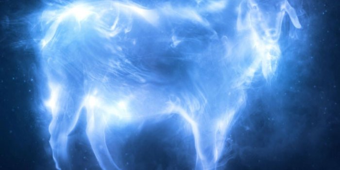 1016x840 Name the Harry Potter character from their Patronus Quiz - By