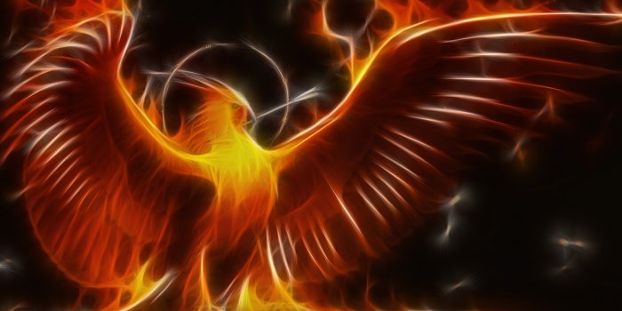 1920x1080 What Is Your Patronus Animal? - BuzzMoy
