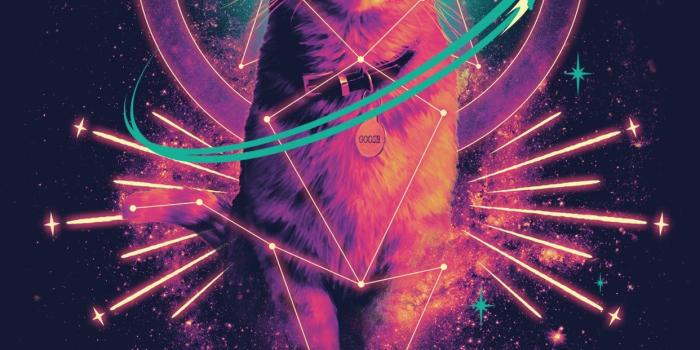 1242x2209 Marvel Studios' Captain Marvel Mobile Wallpapers | Disney Singapore