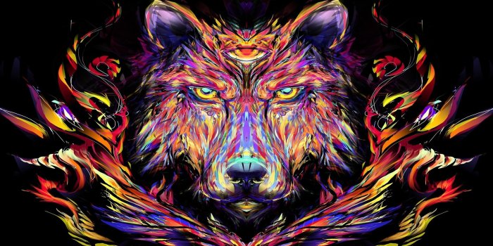 2048x1152 Trippy Wolf Wallpapers (66+ images)