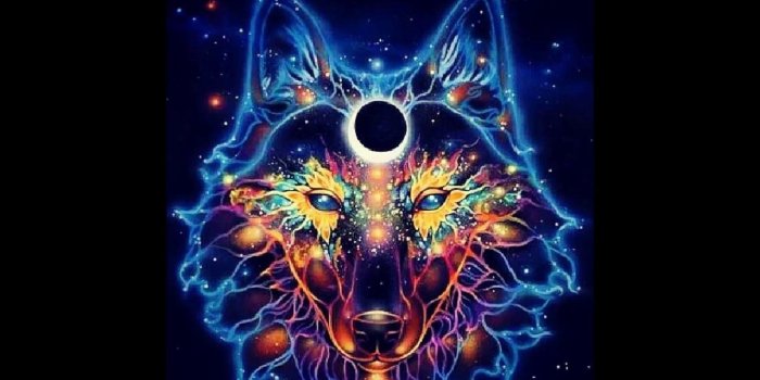 1280x720 Trippy Wolf Wallpapers - Top Free Trippy Wolf Backgrounds