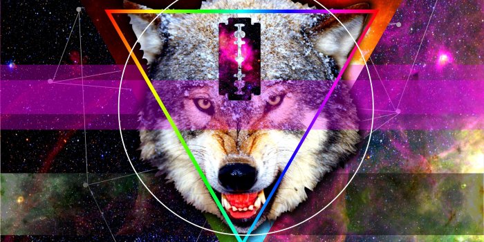 3333x2500 Trippy Wolf Wallpapers - Top Free Trippy Wolf Backgrounds