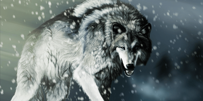 3840x2160 Trippy Wolf Wallpapers - Picserio.com