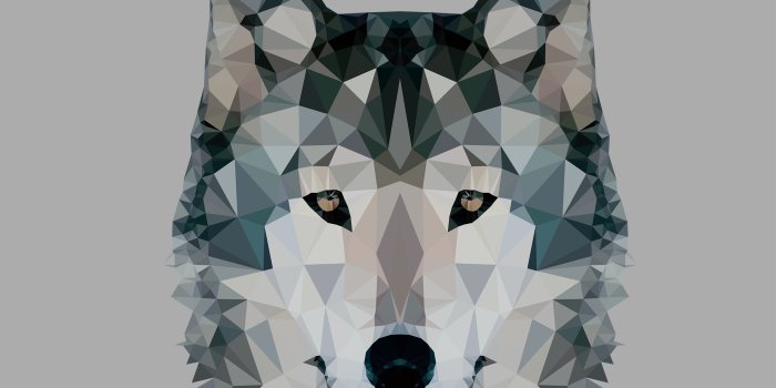 2560x1600 Low Polygonal Wolf ❤ 4K HD Desktop Wallpaper for 4K Ultra HD TV