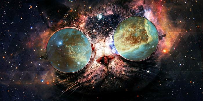 1920x1080 Space Cats HD Wallpaper (78+ images)