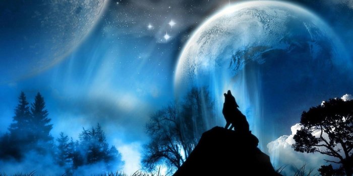 1920x1200 Wolf and Moon Wallpaper (67+ images)