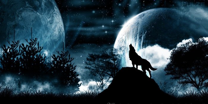 1920x1080 71+ Wolves Howling Wallpapers on WallpaperPlay