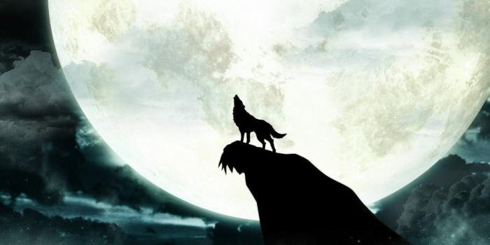 1280x960 Howling Wolf Wallpapers Mobile | Pics | Watercolor wolf, Wolf