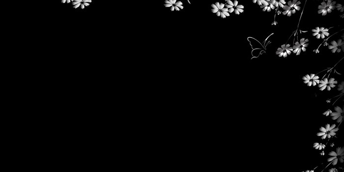 2560x1600 Black and white flowers wallpapers HD