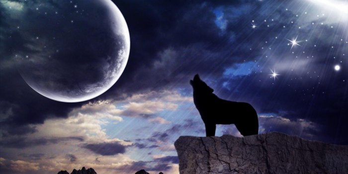 1280x782 Wolf Moon Live Wallpaper for Android - APK Download