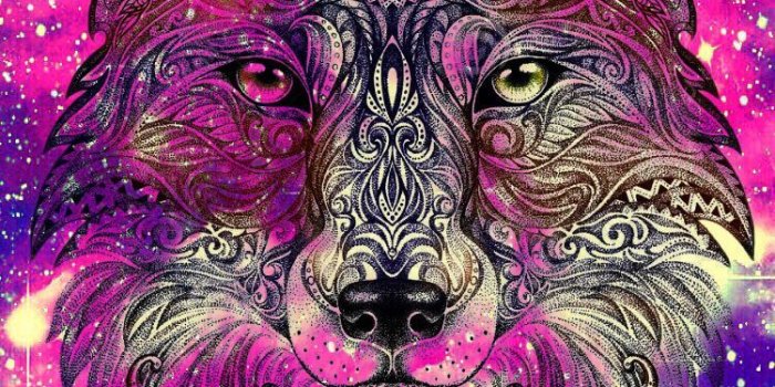 750x1326 Tribal Wolf Galaxy Wallpaper #iPhone #android #phonewallpaper