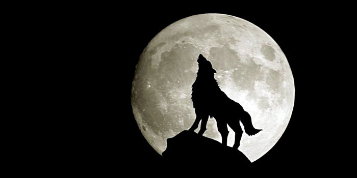1920x1200 Wolf Moon - Fantasy Wallpaper (28637592) - Fanpop