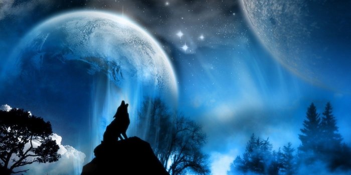 1920x1080 Wolf Howling Wallpaper (67+ images)