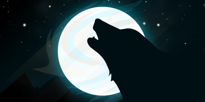 2560x1440 wolf moon [2560 * 1440] : wallpaper