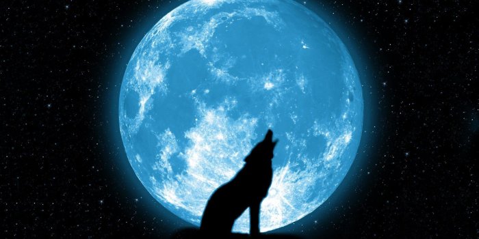 1920x1080 Wallpaper night, sky, Moon, wolf, stars, Wolf howling at the moon
