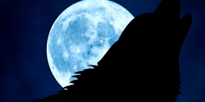 844x1567 Moon Wolves Abstract Wallpaper | erasedblog