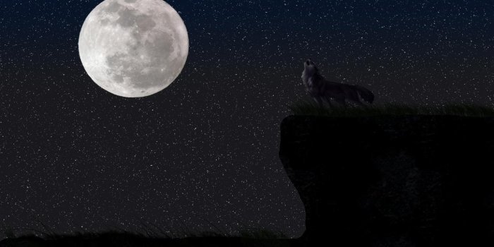 1366x768 Wolf Moon Live Wallpaper for Android - APK Download