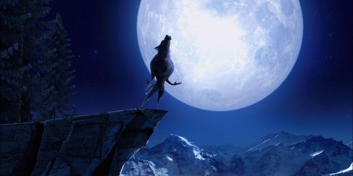 1280x800 Wolf Howling At The Moon Wallpapers | Tattoo ideas